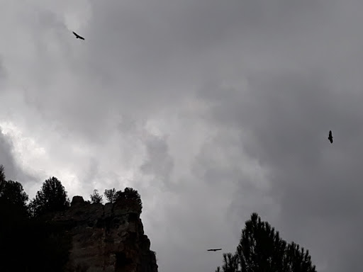 El Cañon del rio Lobos, Ucero