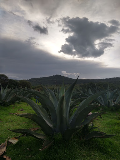 Hacienda Xochuca