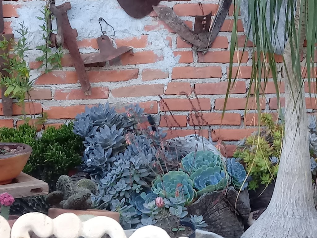 Mariscos Tio Martin