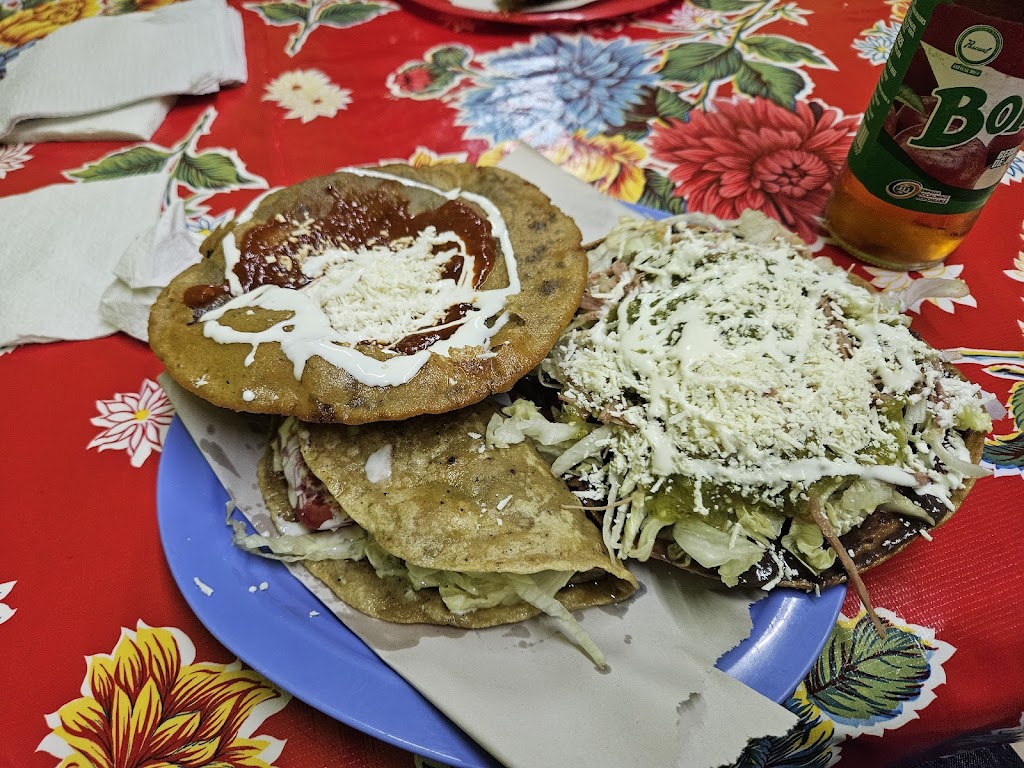 Garnachas