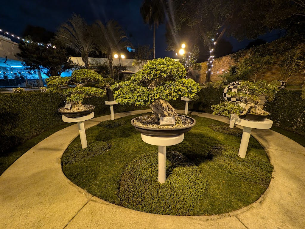 Bruna Restaurant