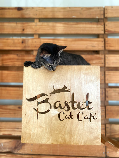 Bastet Cat