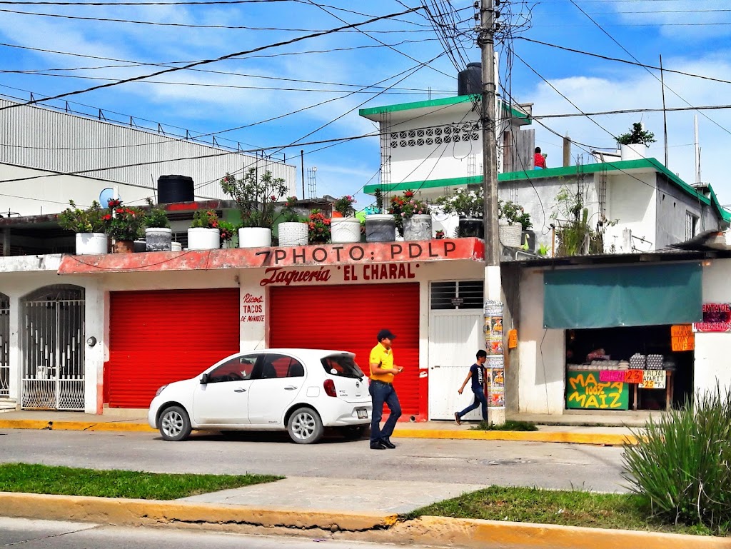 Taquería "El Charal", Álamo