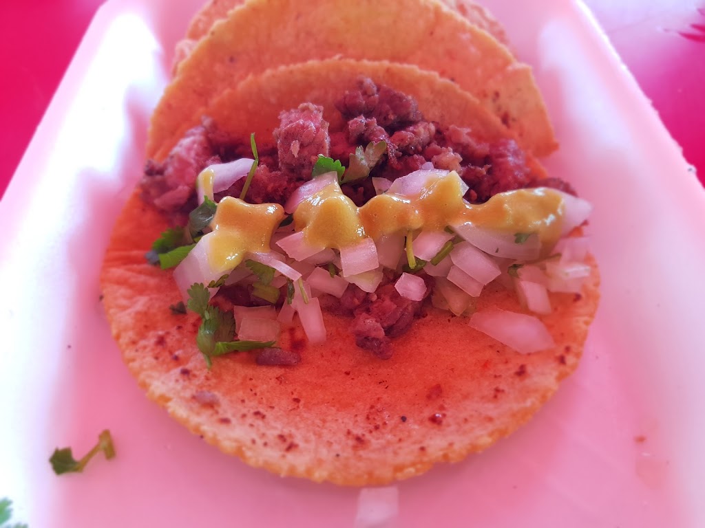 Tacos El Gordo
