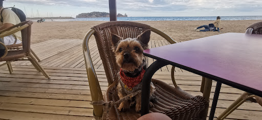 Chiringuila Beach Bar