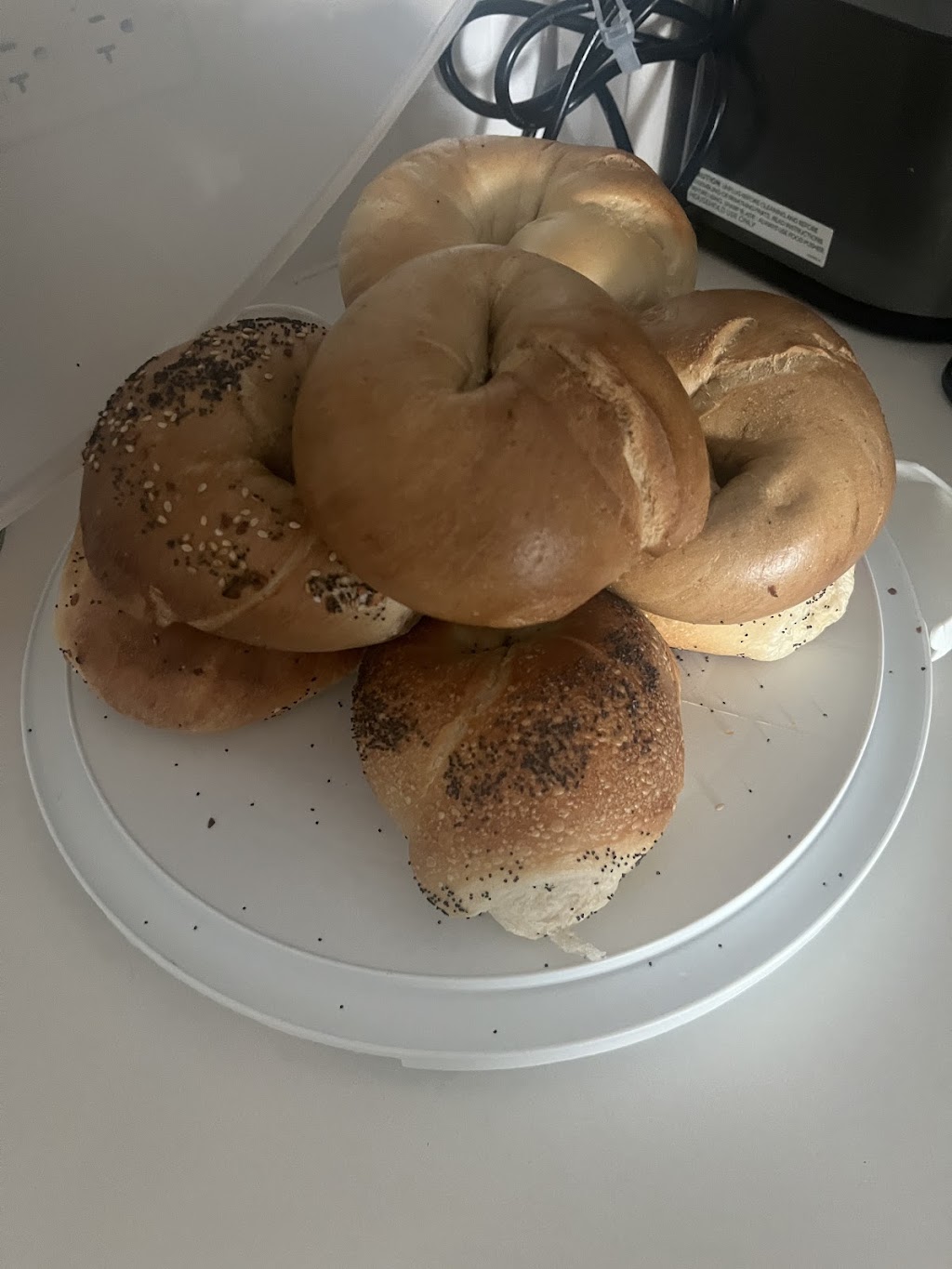 Island Bagel Bar, Lawrence, KS