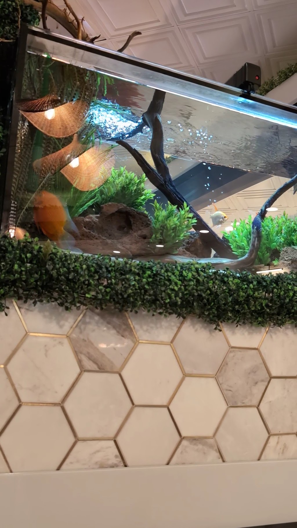 The Honey Hole