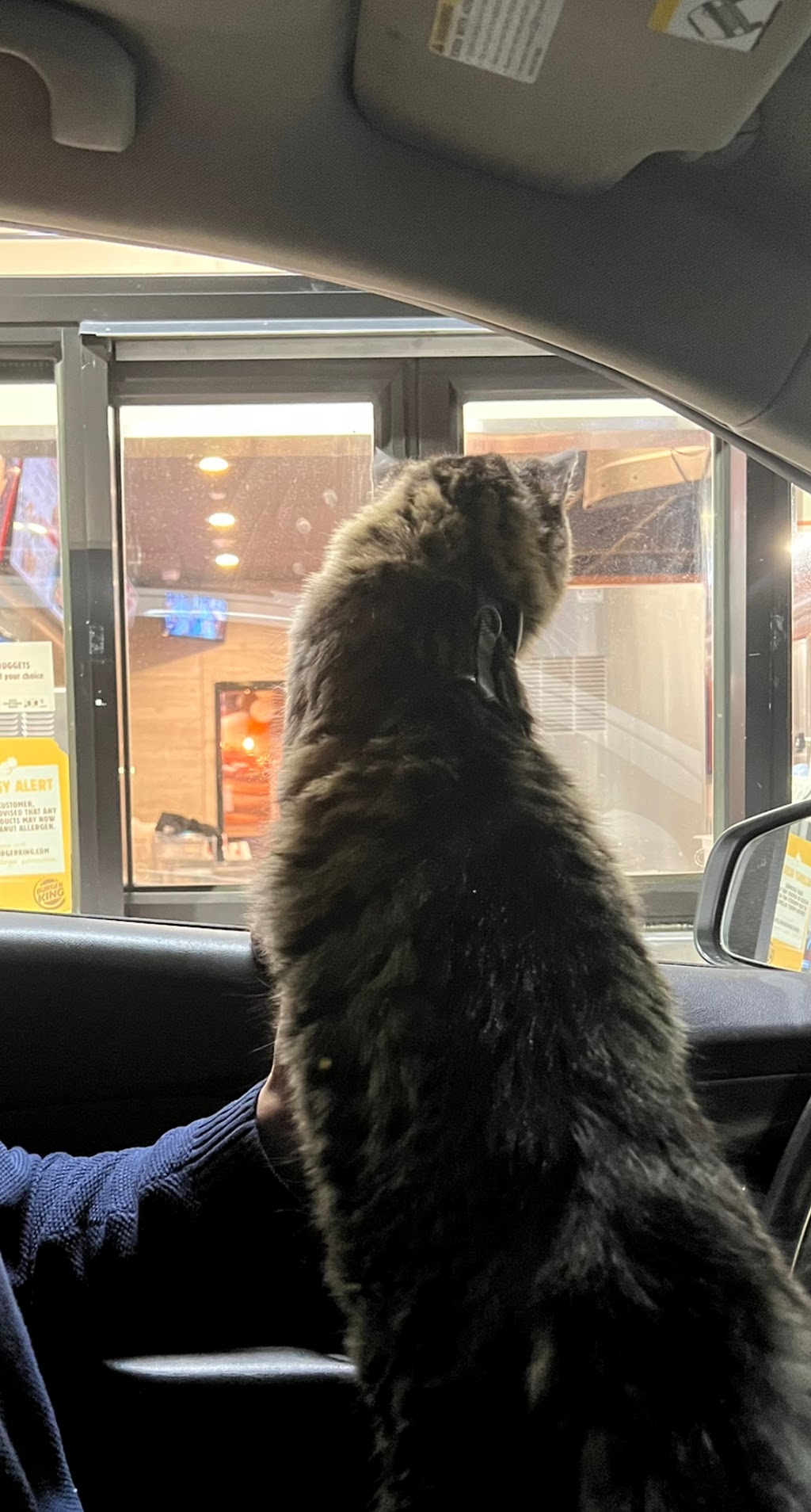 Burger King, Hewlett, NY