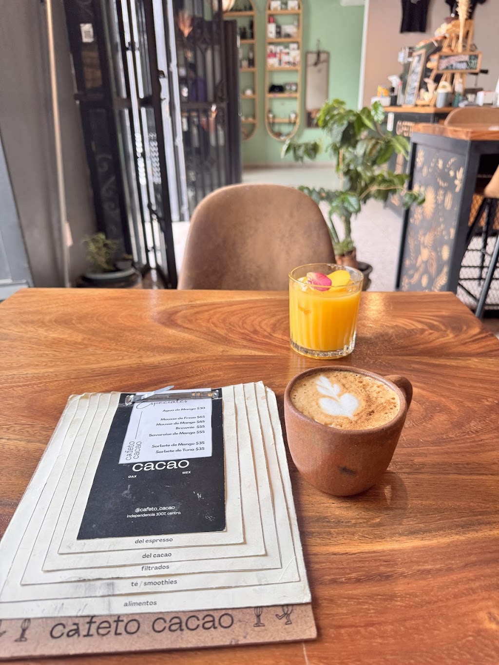 The Oaxaca Coffee Company