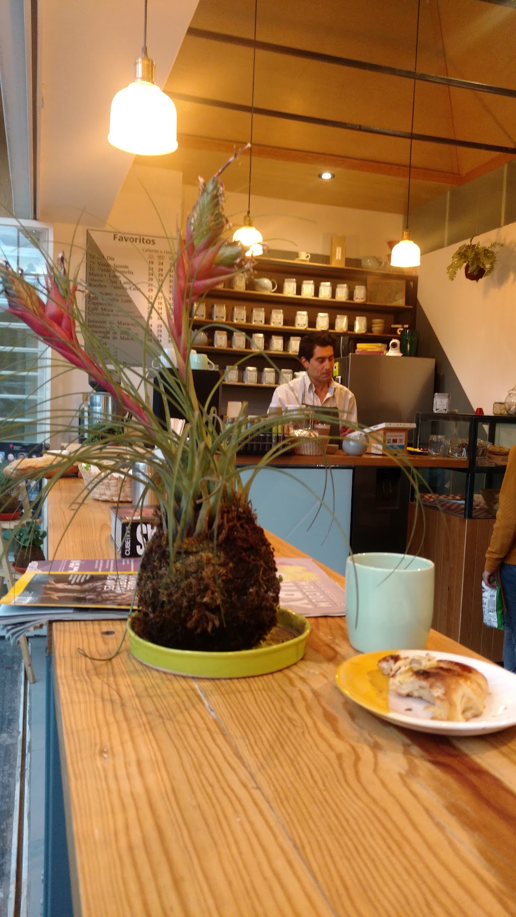 Bromelia Té & Café