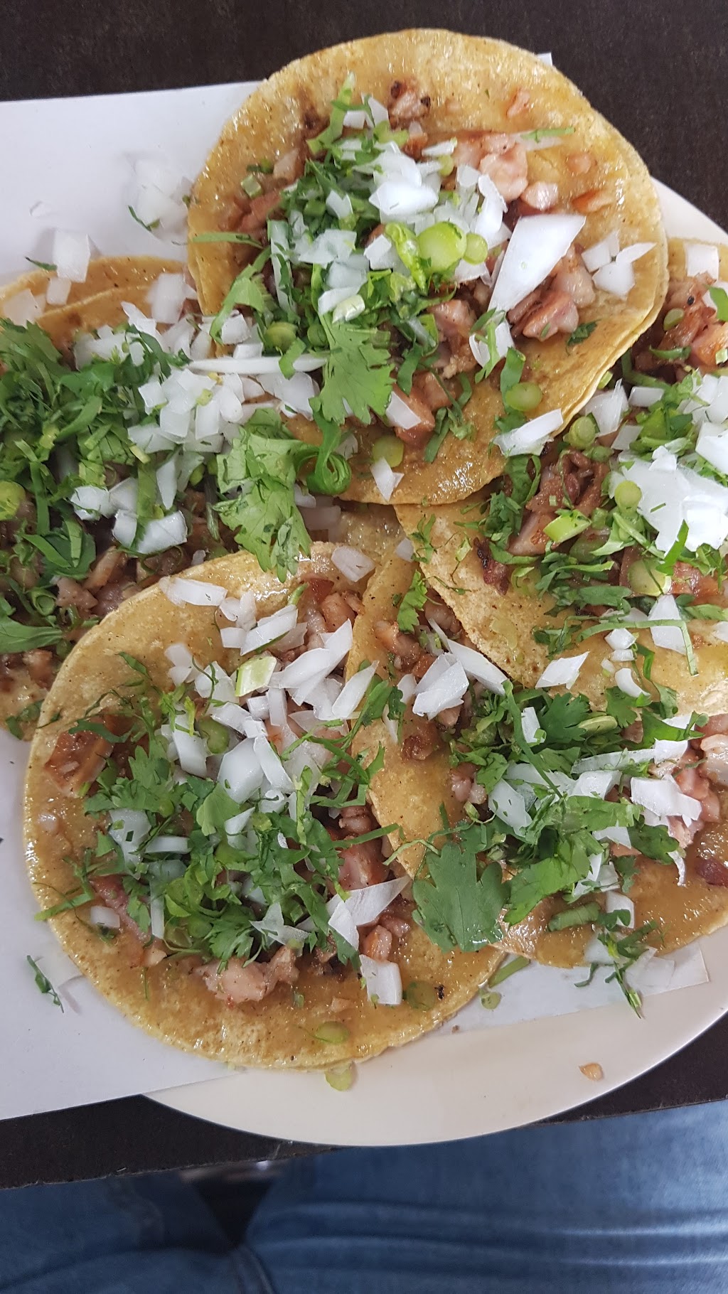 Los Framboyanes, Queretaro
