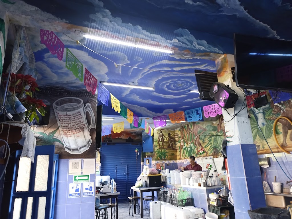 La Paloma Azul