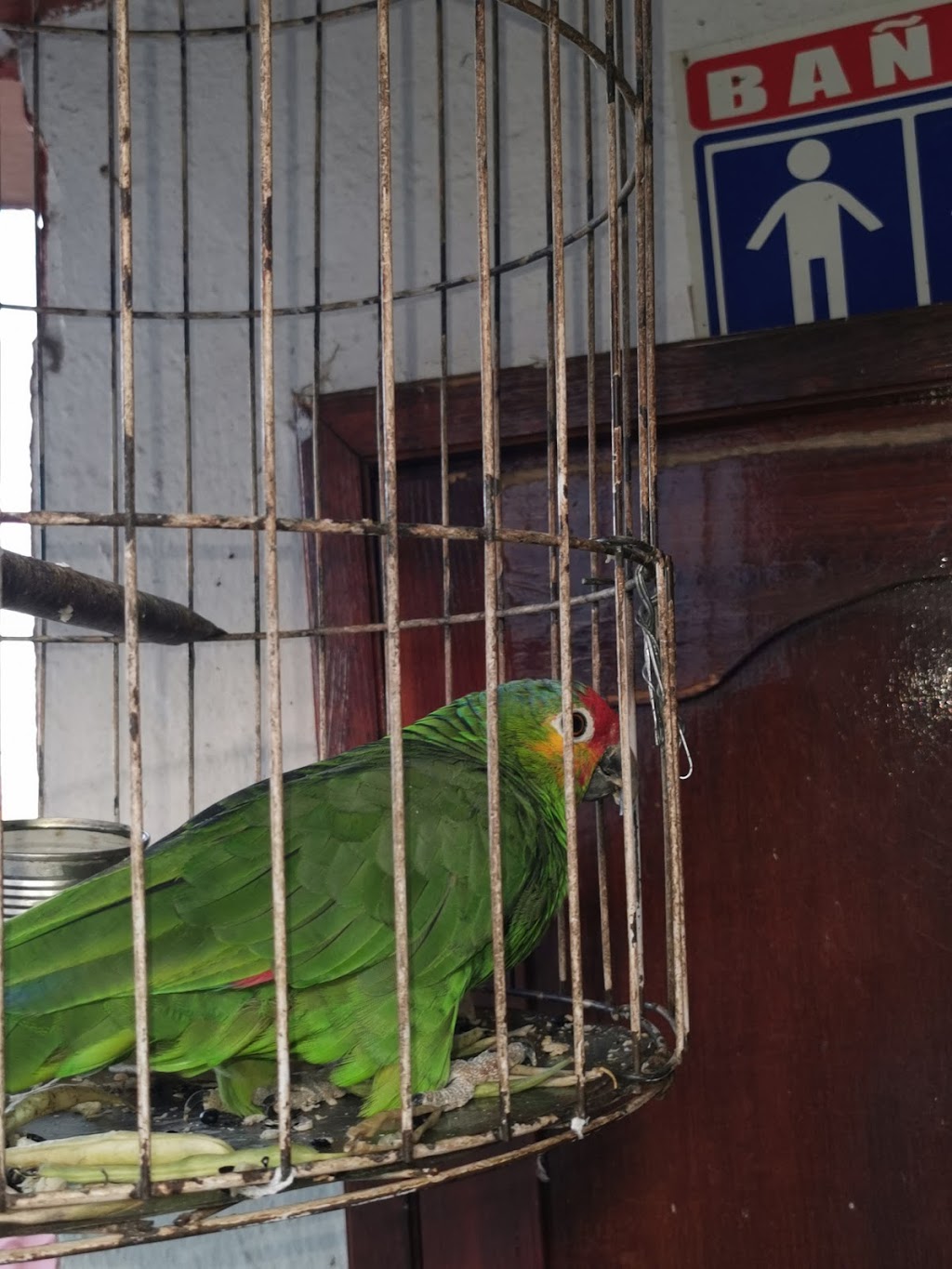 Pepextla, Cuetzalan