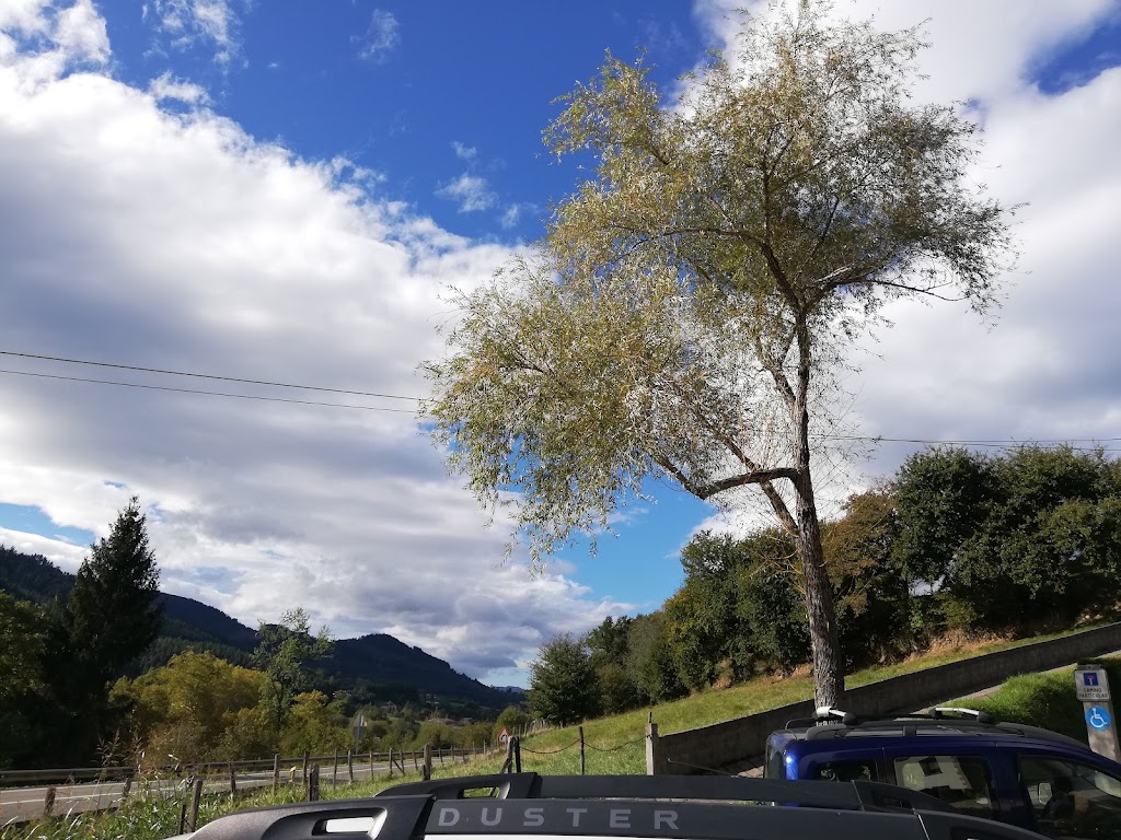 Arratiano