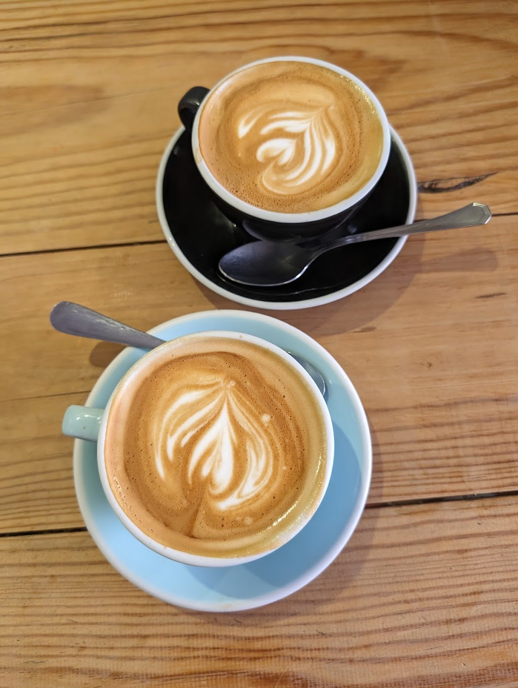 Bluebell Coffee Co.