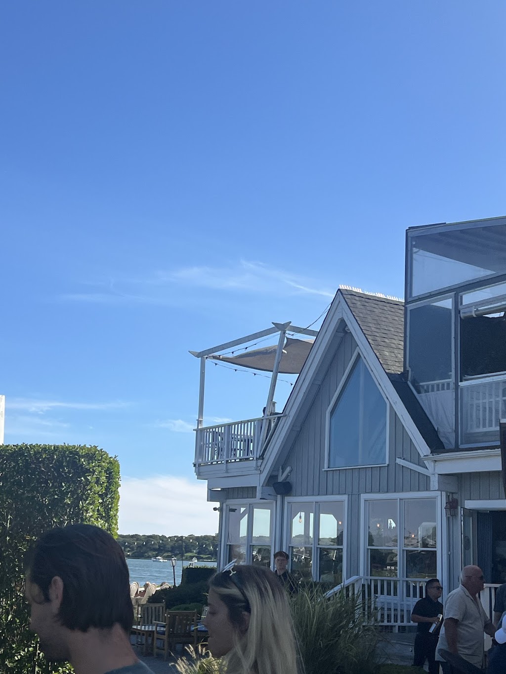 Cowfish
