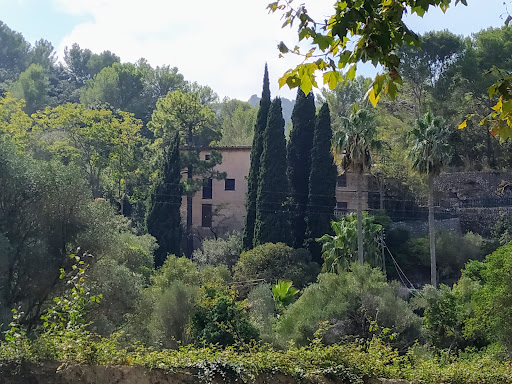 Vesubio, Avinguda De L'arxiduc Lluís Salvador