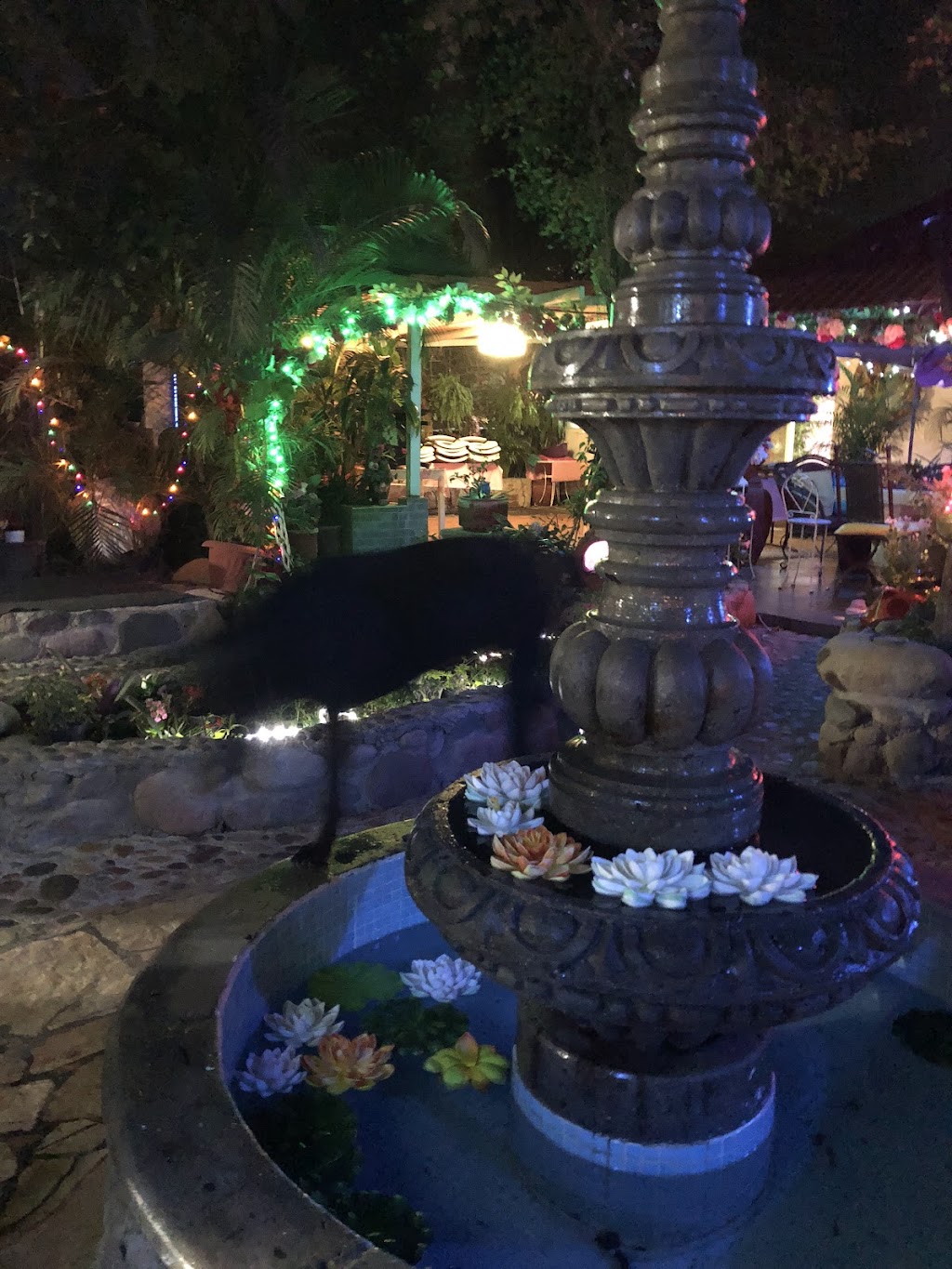 Los Sauces, Puerto Vallarta