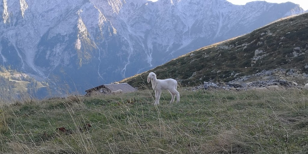 Rifugio Dello Scoiattolo