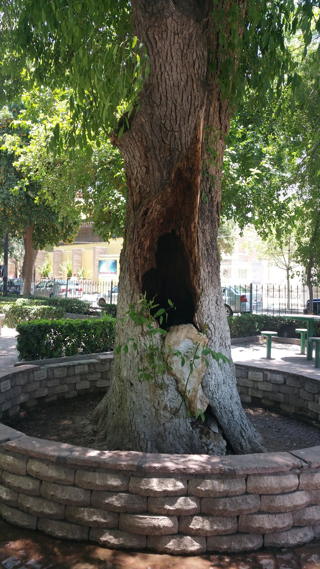 La Victoria