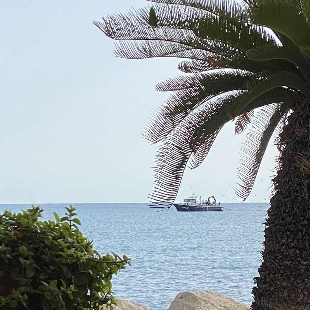 Aduanas De Mar, Javea Port