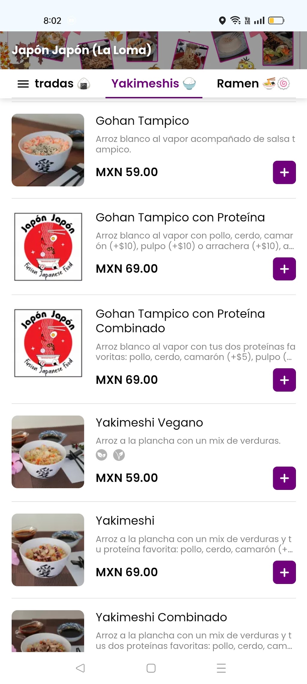Japón Japón - La Loma Xicohtencatl