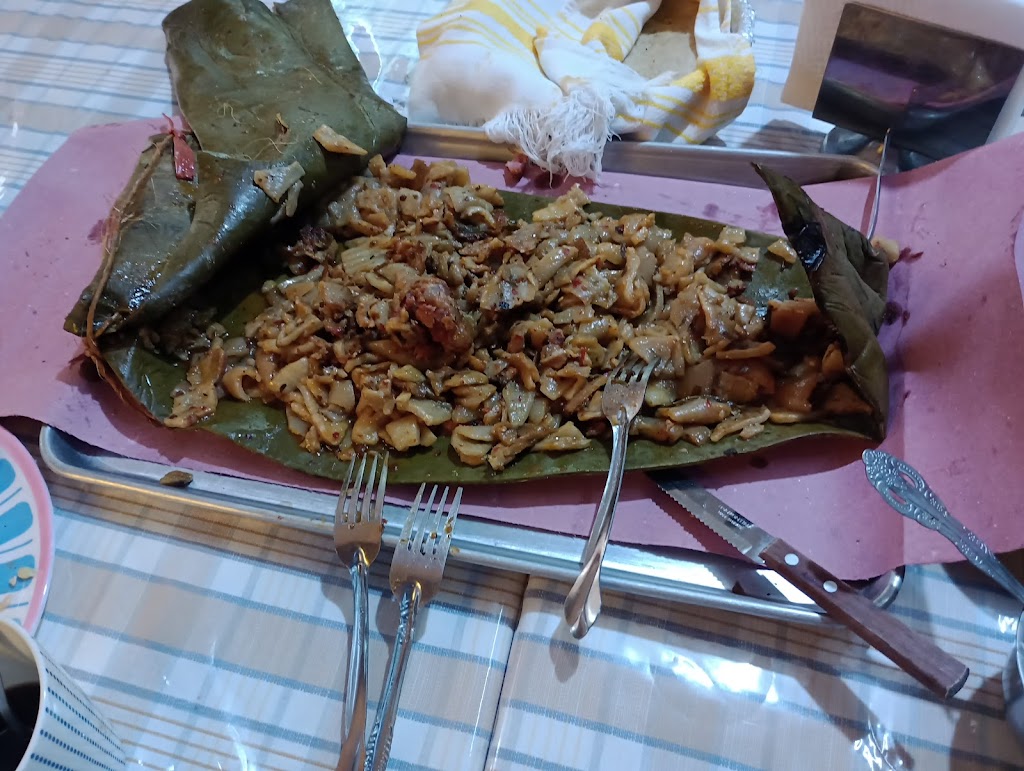 pencas y manguises azteca