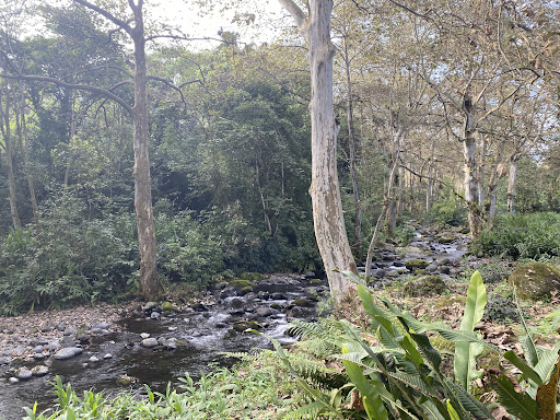 La Cabaña del Tío Yeyo
