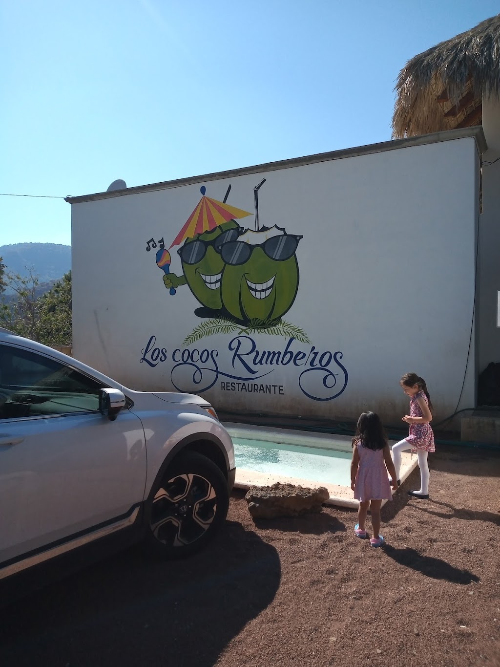 Los Cocos Rumberos