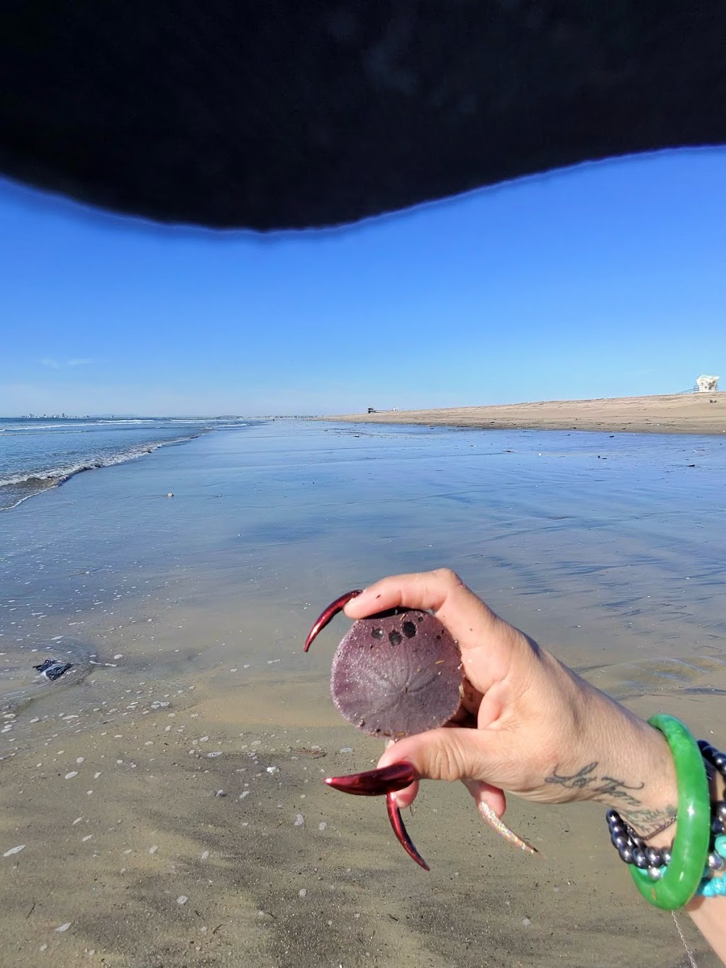 Bolsa Chica State Beach