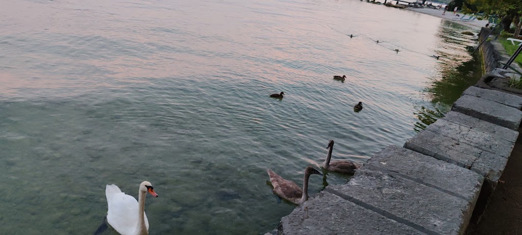 Il Molino, San Felice del Benaco