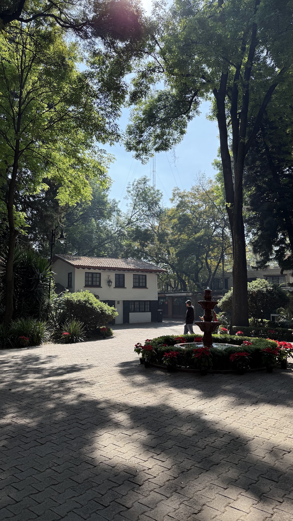 Barrio Santa Catarina, Francisco Sosa