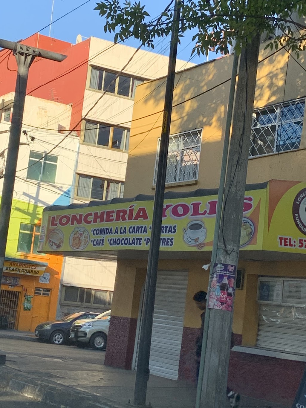 Felipe Angeles, Venustiano Carranza