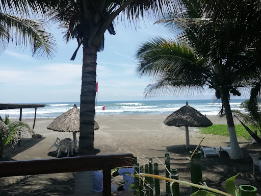 La Palapa