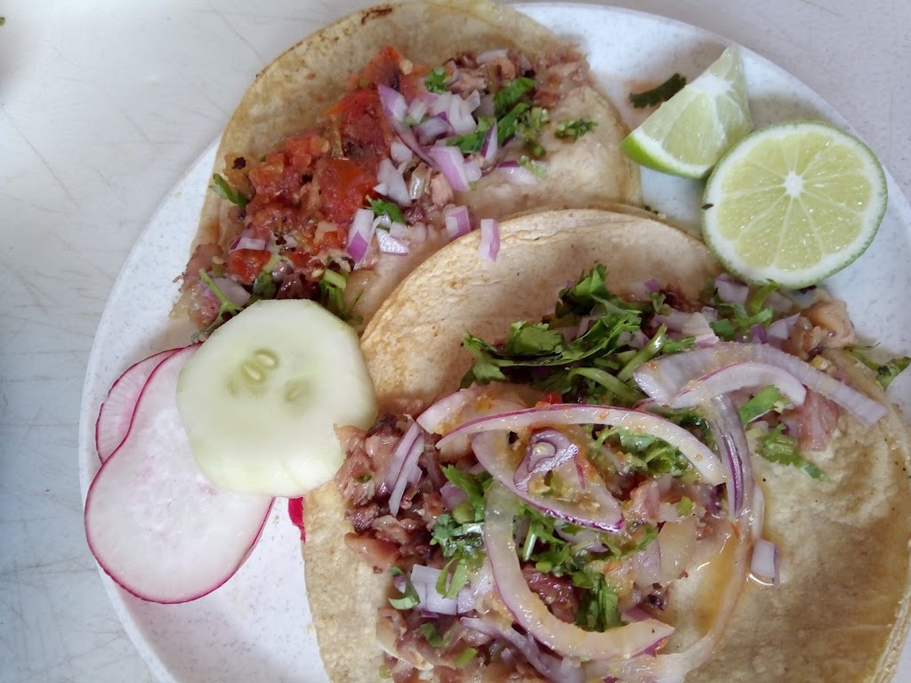 Tacos de carnitas El Urge