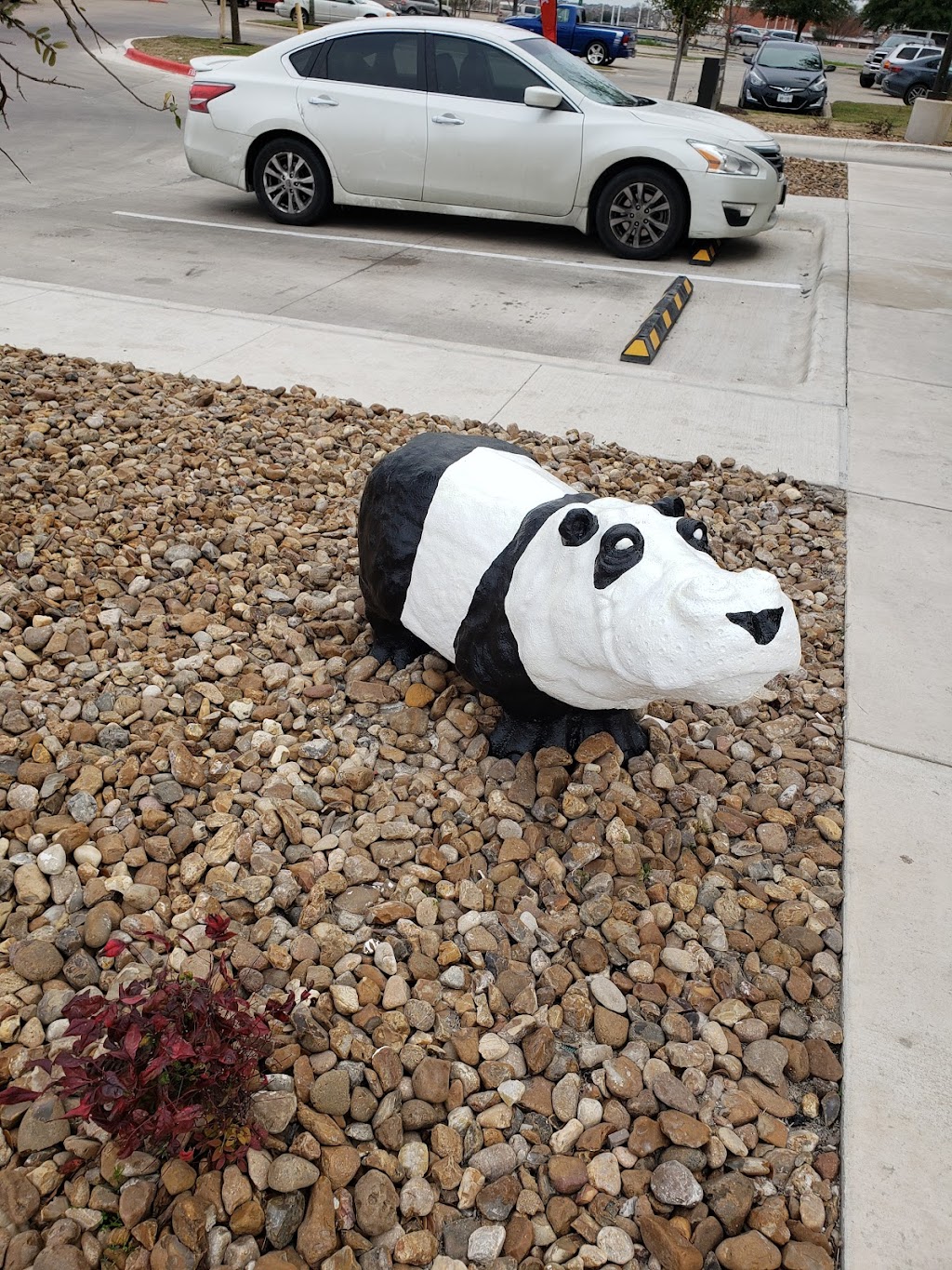 Panda Express