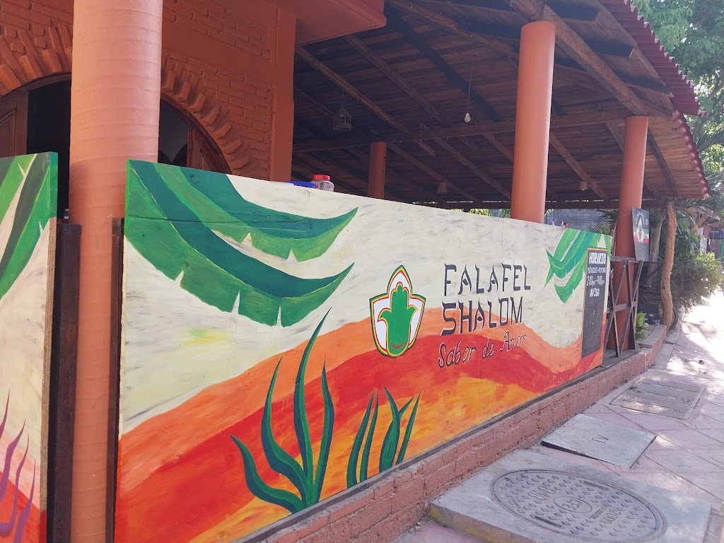 Falafel Shalom
