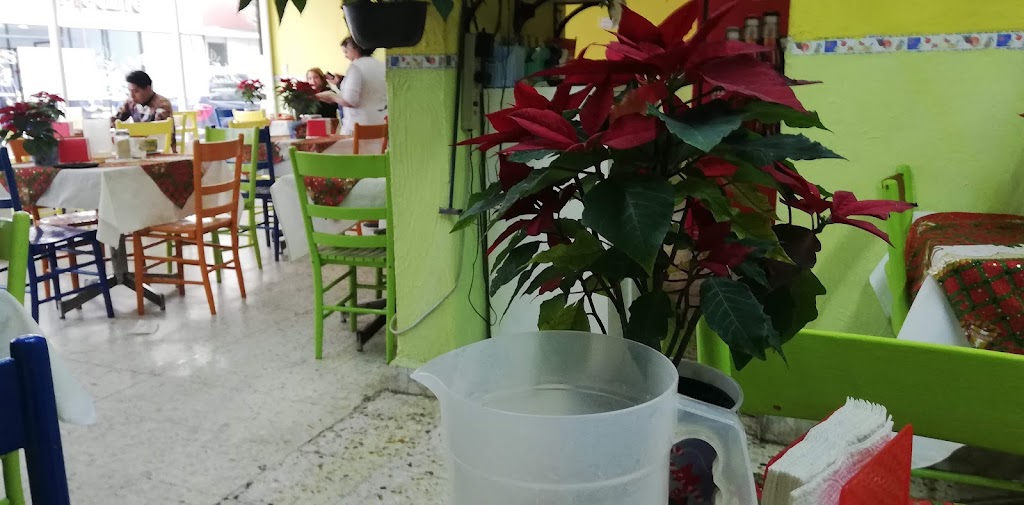 Cafe Allende