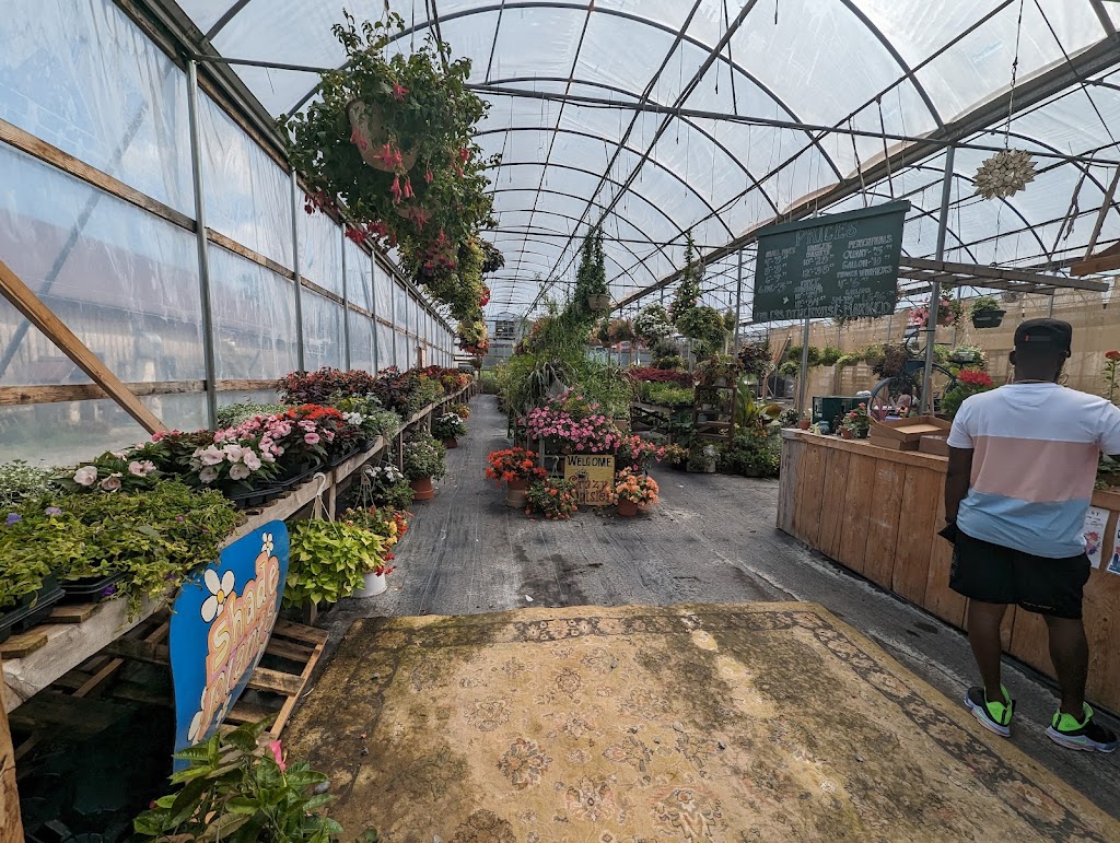 The Garden Café
at Crazy Daisies