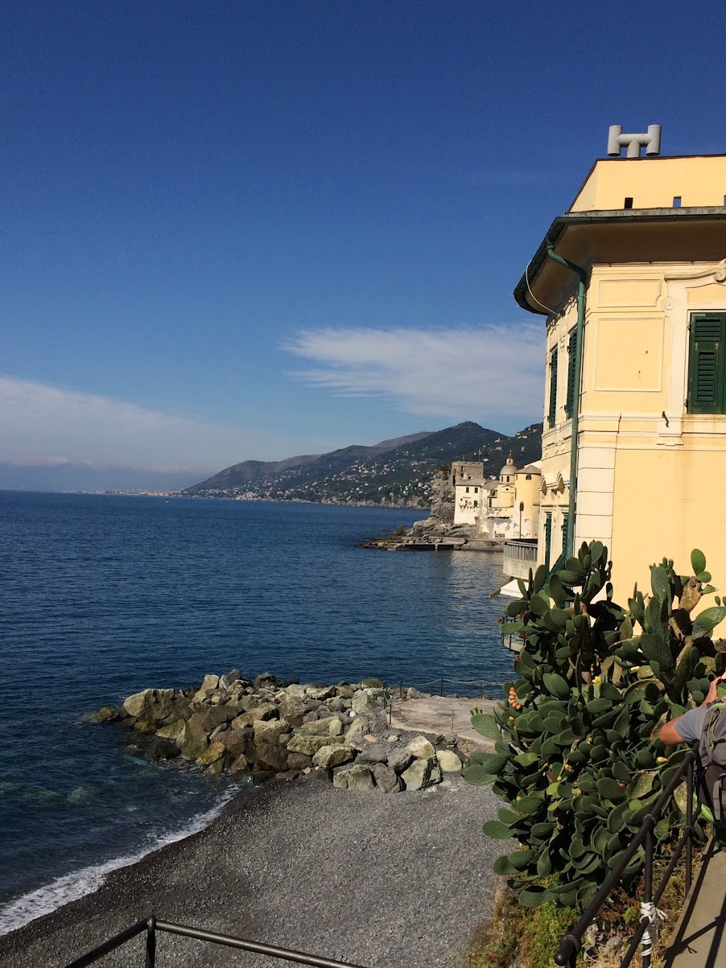 Bar Auriga, Camogli
