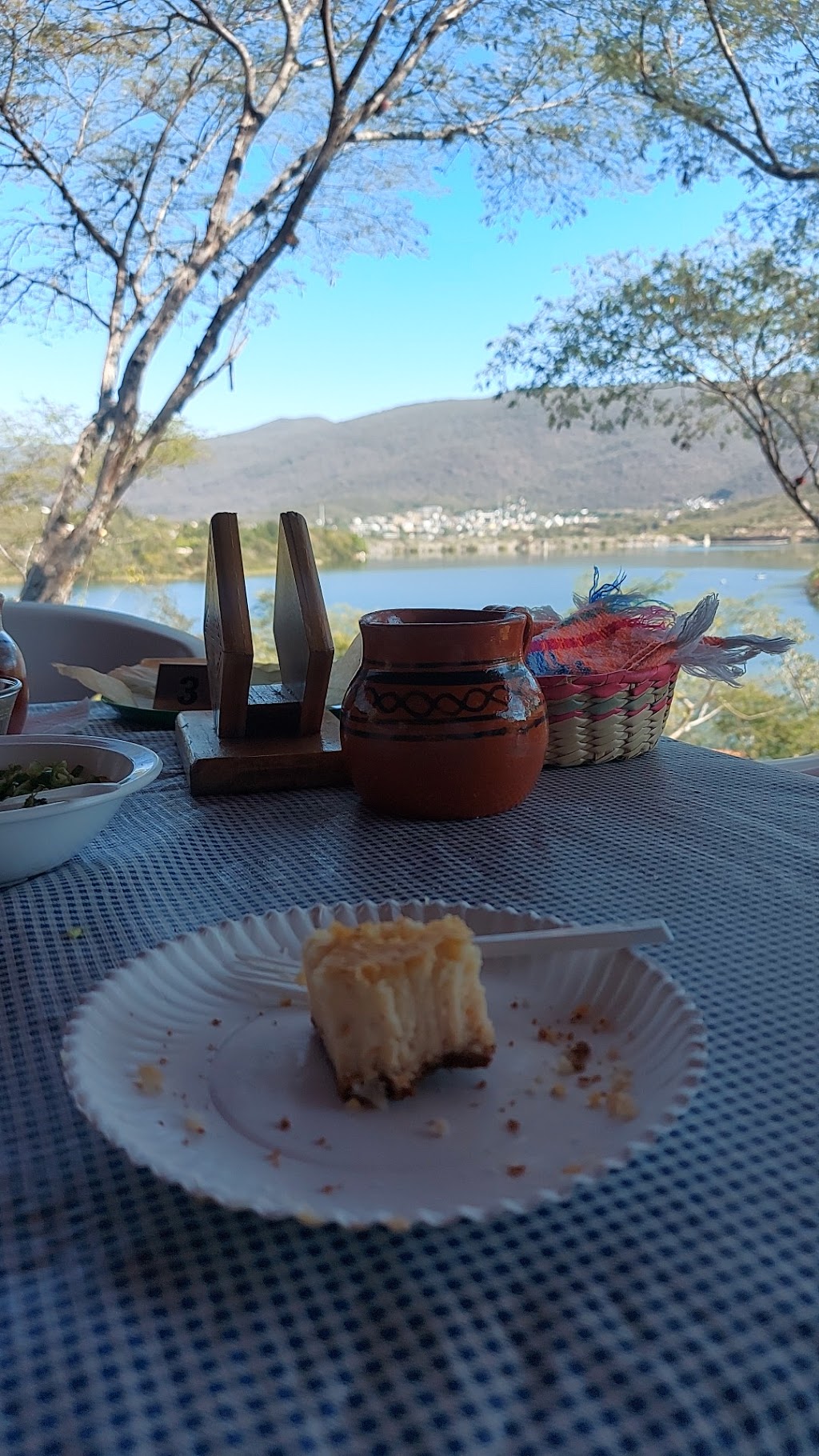 Palapa la presa