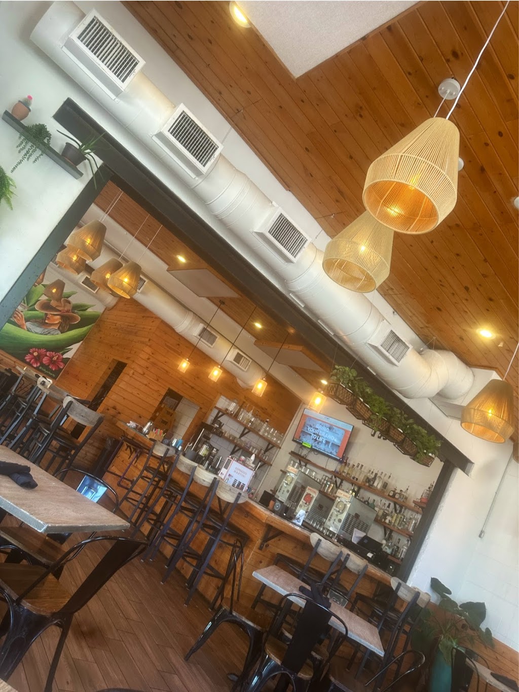 El Chile Café y Cantina