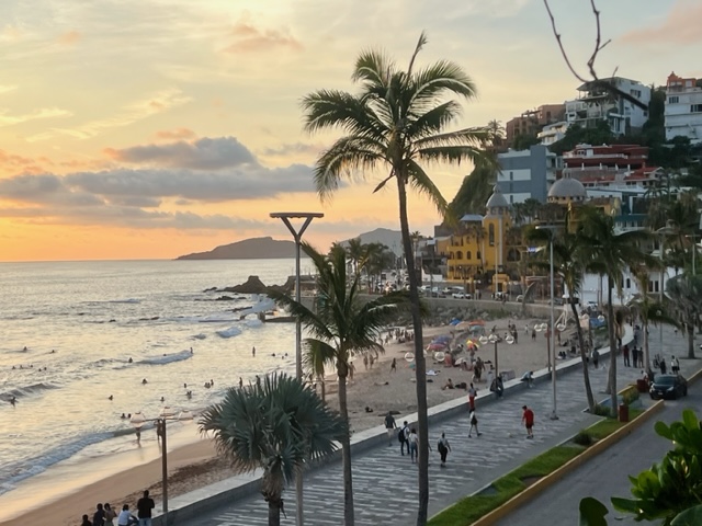 Vista de Palma