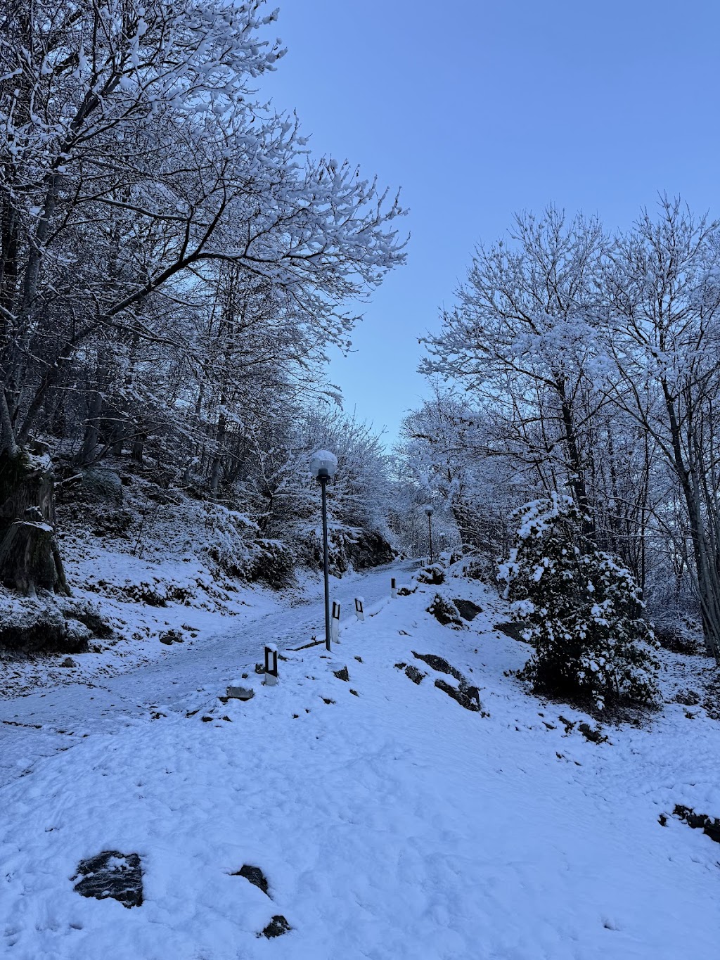 Crotto Alpino