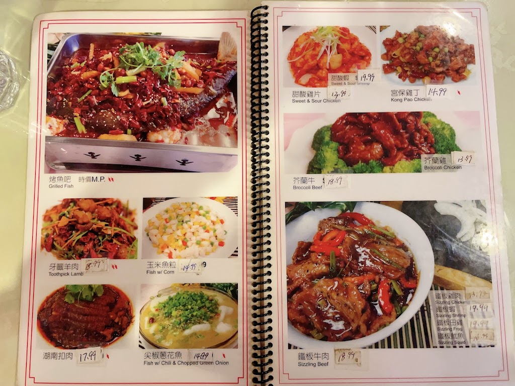 Spicy City