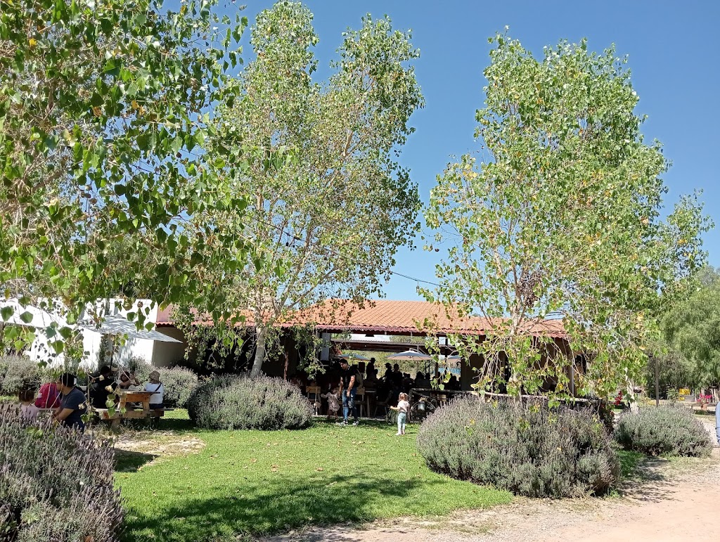 SEMILLA - CAFETERIA DE CAMPO, San Luis Potosí, Mexico