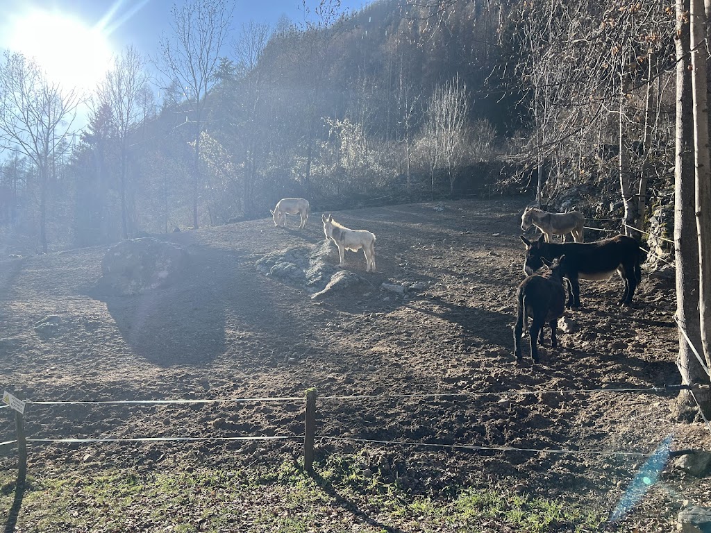 Agriturismo alle Baite
