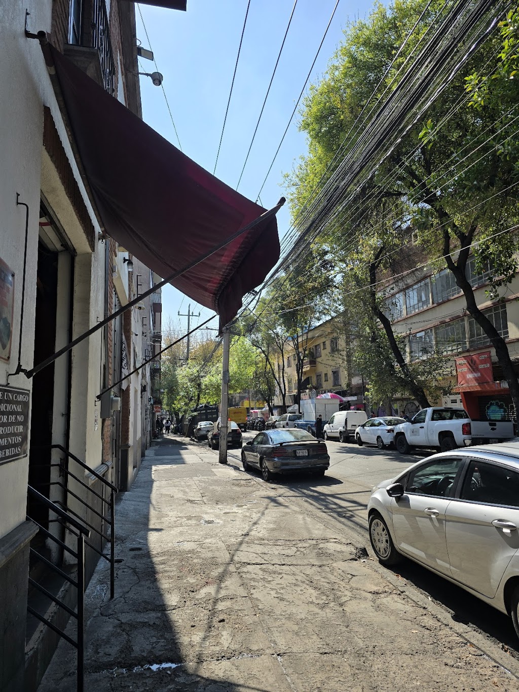 LA OVEJA NEGRA