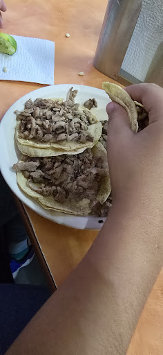 Los Volcanes