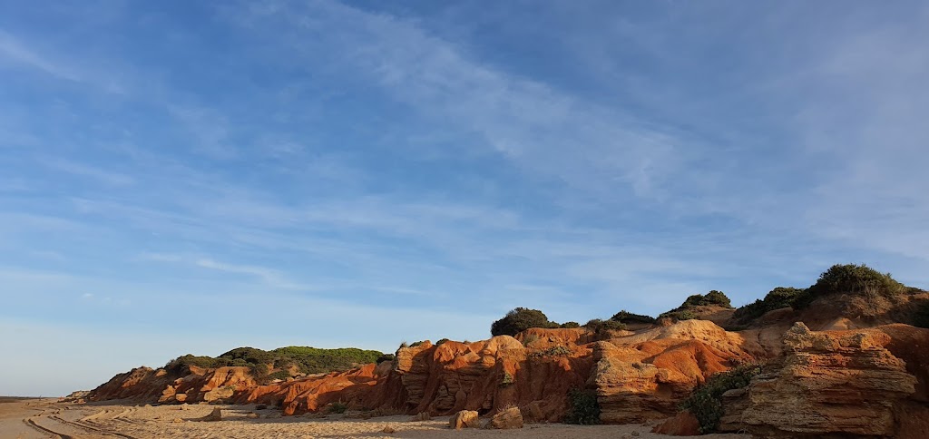 El Rincón del Pulpo